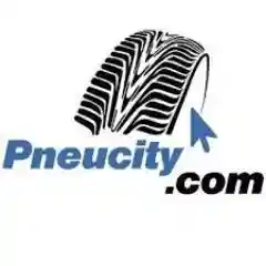 pneucity.com